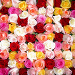 101 Roses